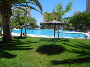 Гостиница Precious Apartment in Alicante, Playa San Juan  Аликанте